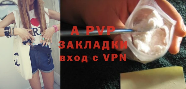 стаф Киренск