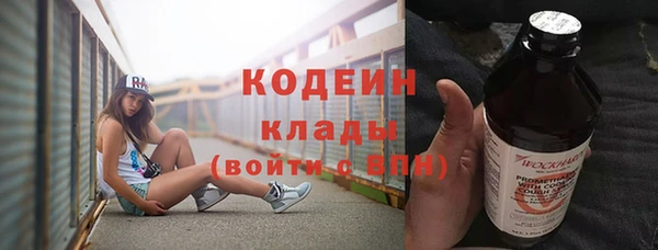 амф Няндома