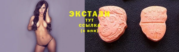стаф Киренск